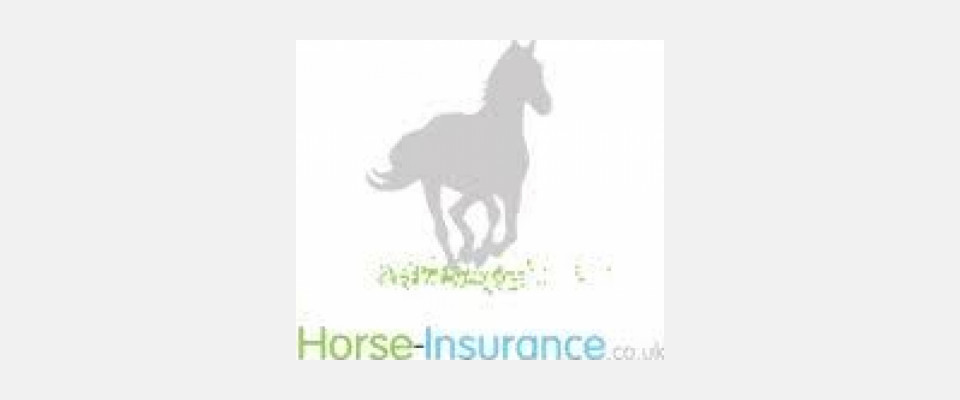 horse-insurance.co.uk