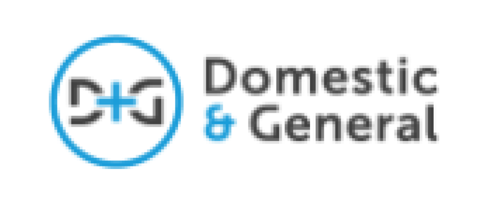 Domestic & General Services